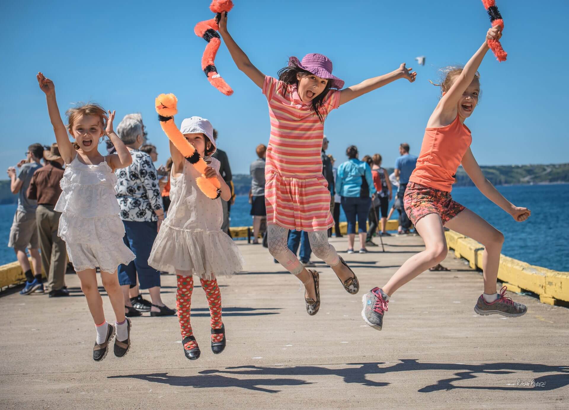 eServices Town of Portugal Cove St. Philips