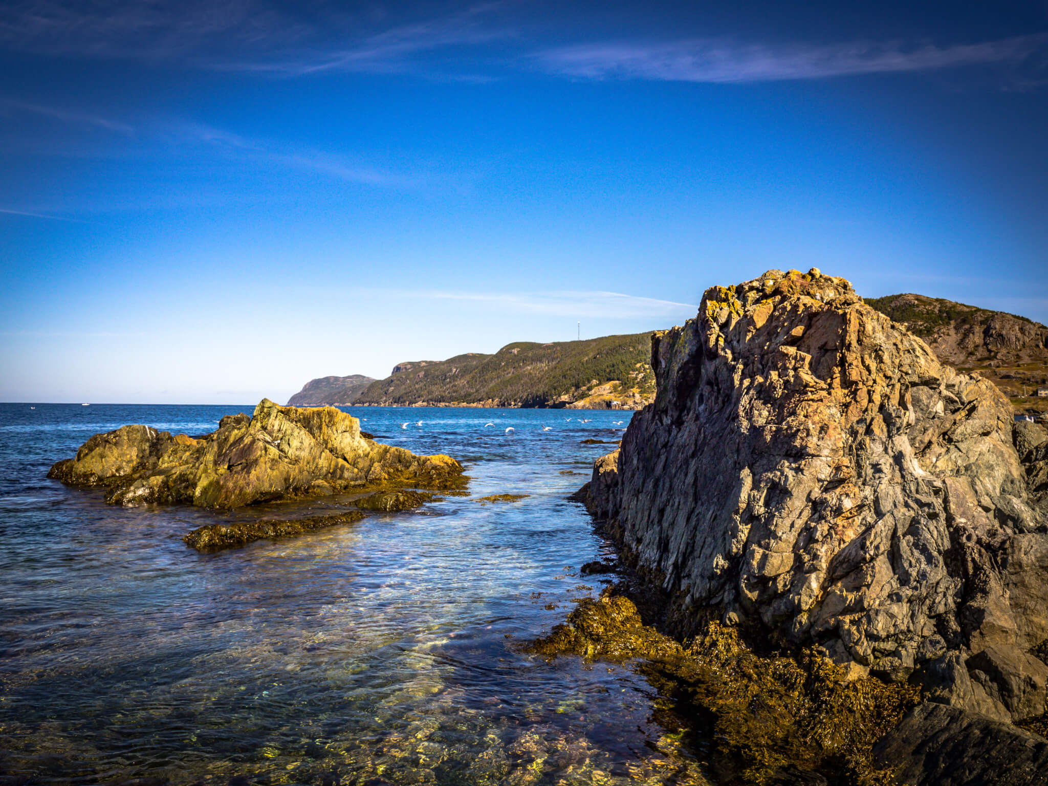 Policies & Regulations Town of Portugal Cove St. Philips