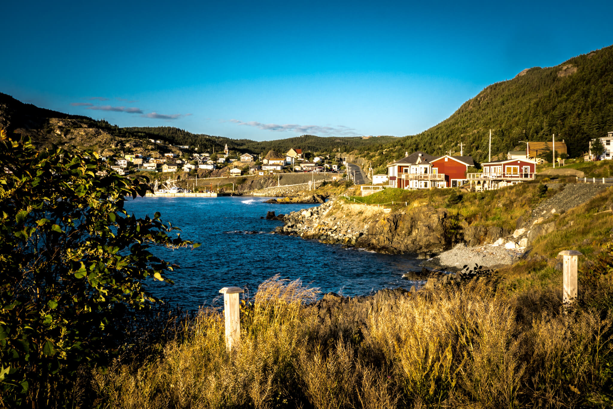 Portugal Cove St Philip S Town Council at Chester Young blog