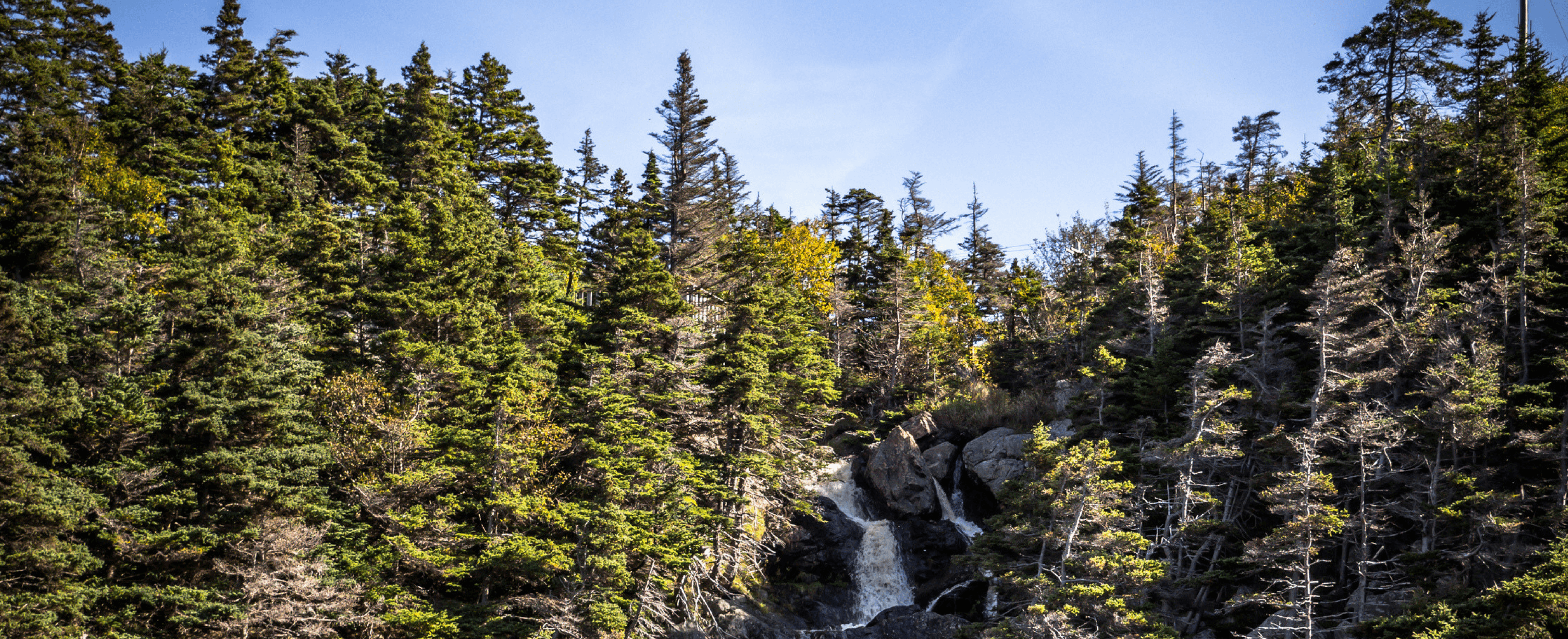 Open Air Burning Suspended Town of Portugal Cove St. Philips