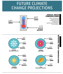 Climate Change Infographic Poster Sustainability -  Portugal